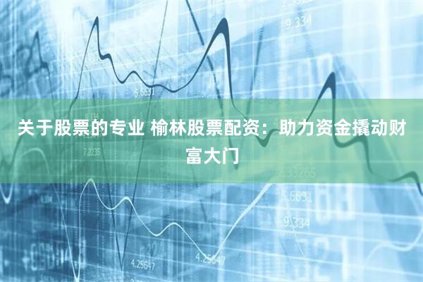 关于股票的专业 榆林股票配资：助力资金撬动财富大门