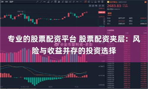 专业的股票配资平台 股票配资夹层：风险与收益并存的投资选择