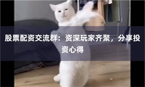 股票配资交流群：资深玩家齐聚，分享投资心得