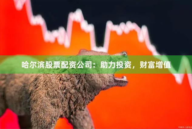 哈尔滨股票配资公司：助力投资，财富增值