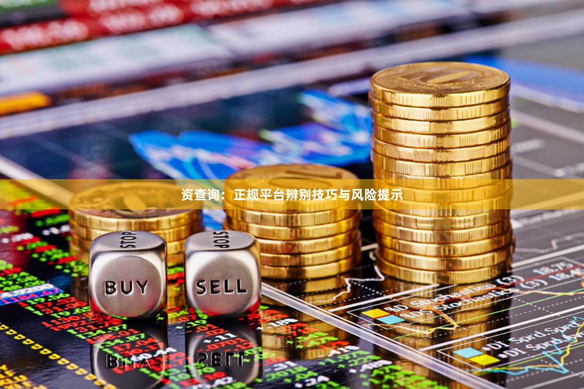 资查询:正规平台辨别技巧与风险提示